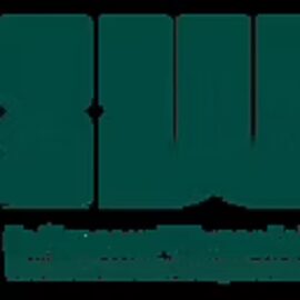 IWI